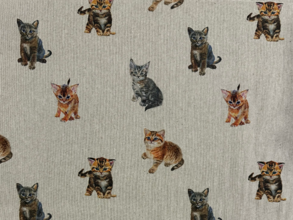Schwere Baumwolle Katze Beige Bunt Nr 4795
